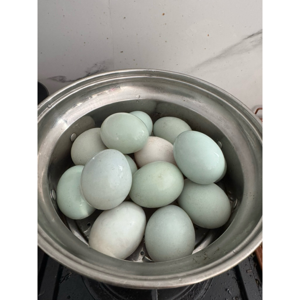 Telur Bebek Mentah Segar dengan Kuning Telur Omega Orange