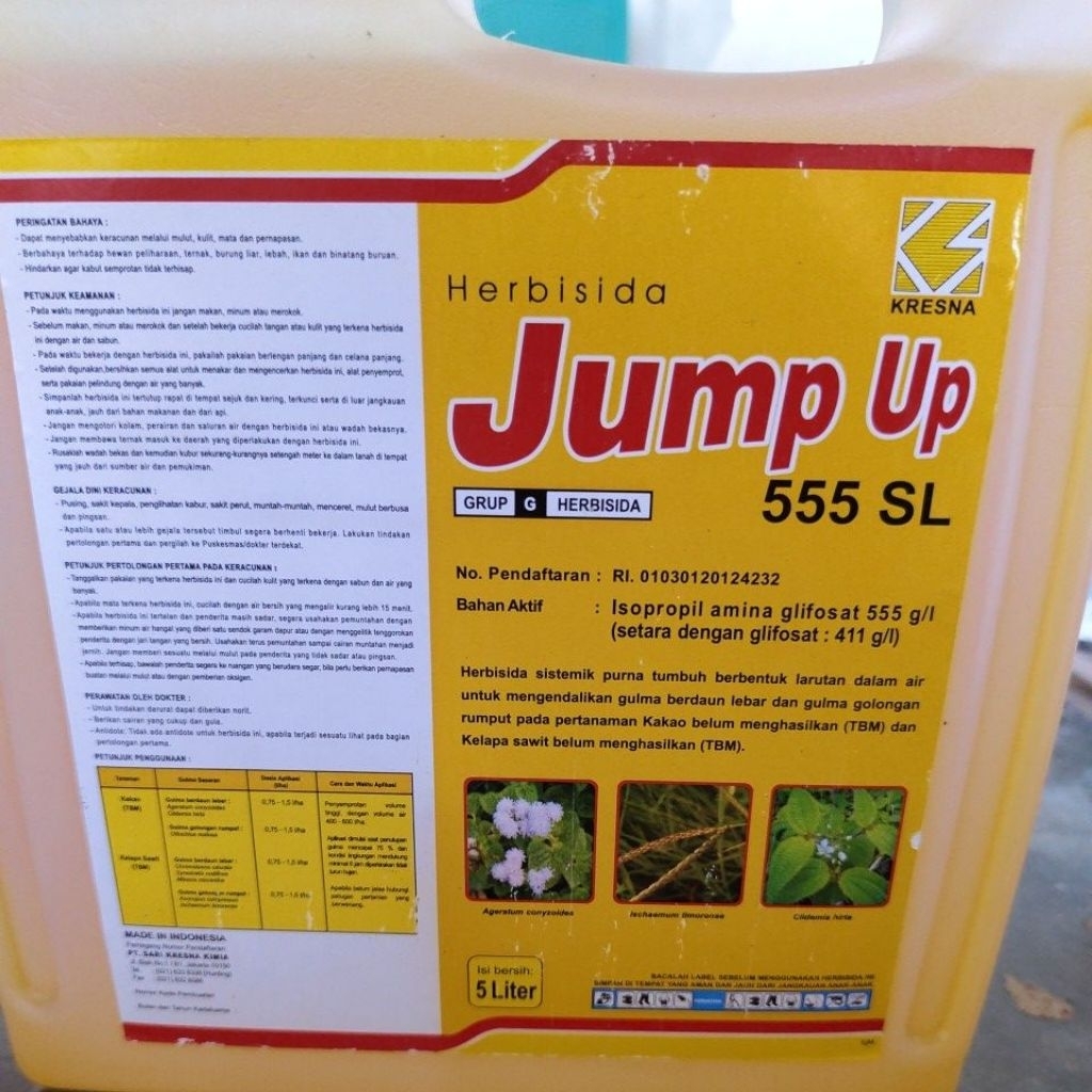 jump up 555 sl