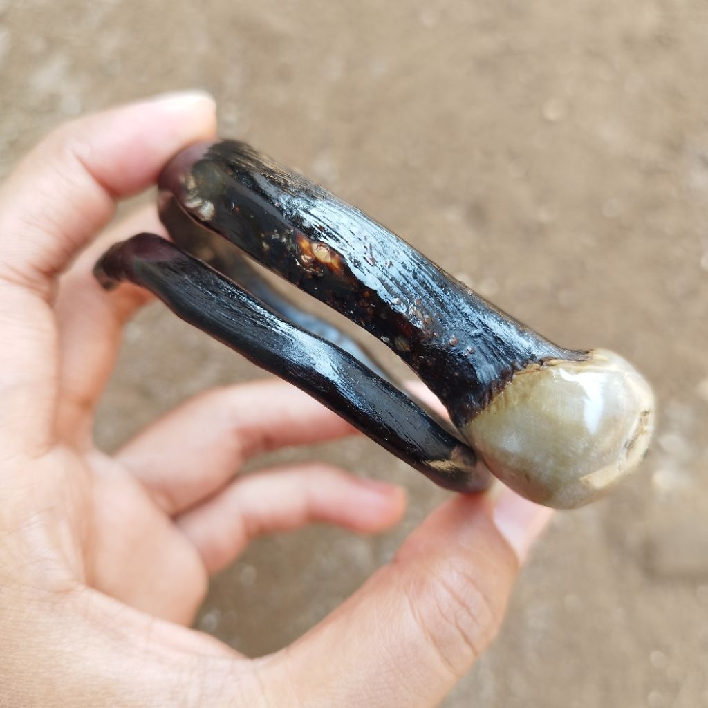 Gelang Akar Bahar Hitam Bonggol Sedang