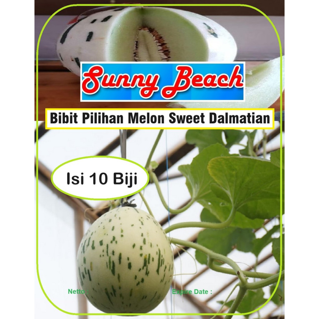 Bibit Pilihan Melon Sweet Dalmatian | Biji Benih Melon Sweet Dalmatian