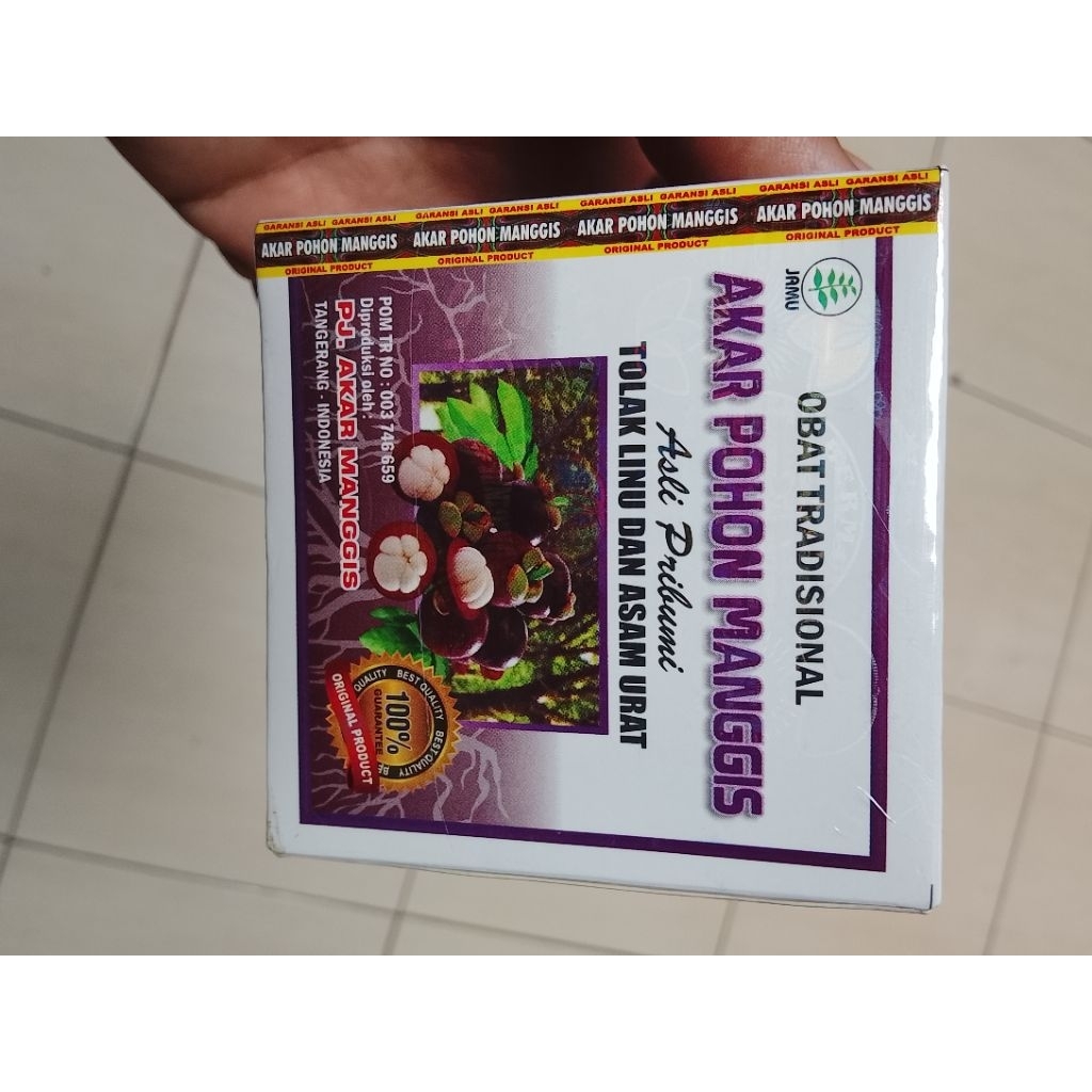 AKAR POHON MANGGIS PJ akar manggis