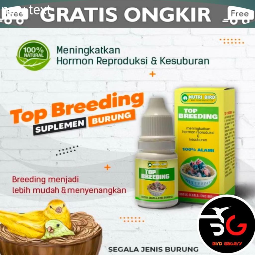 TOP BREEDING KENARI UNTUK KESUBURAN DAN BIRAH1 BURUNG KENARI