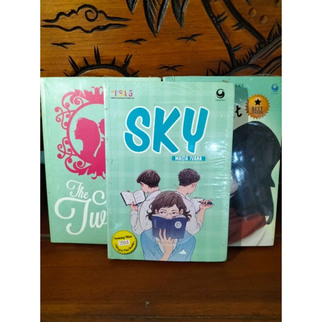 novel dewasa/novel original/novel fiksi dewasa/SKY