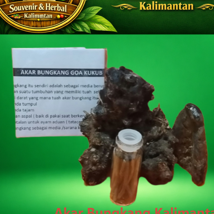 Produk Tradisional  Souvenir Akar Bungkang Kalimantan - Botol 10 ml