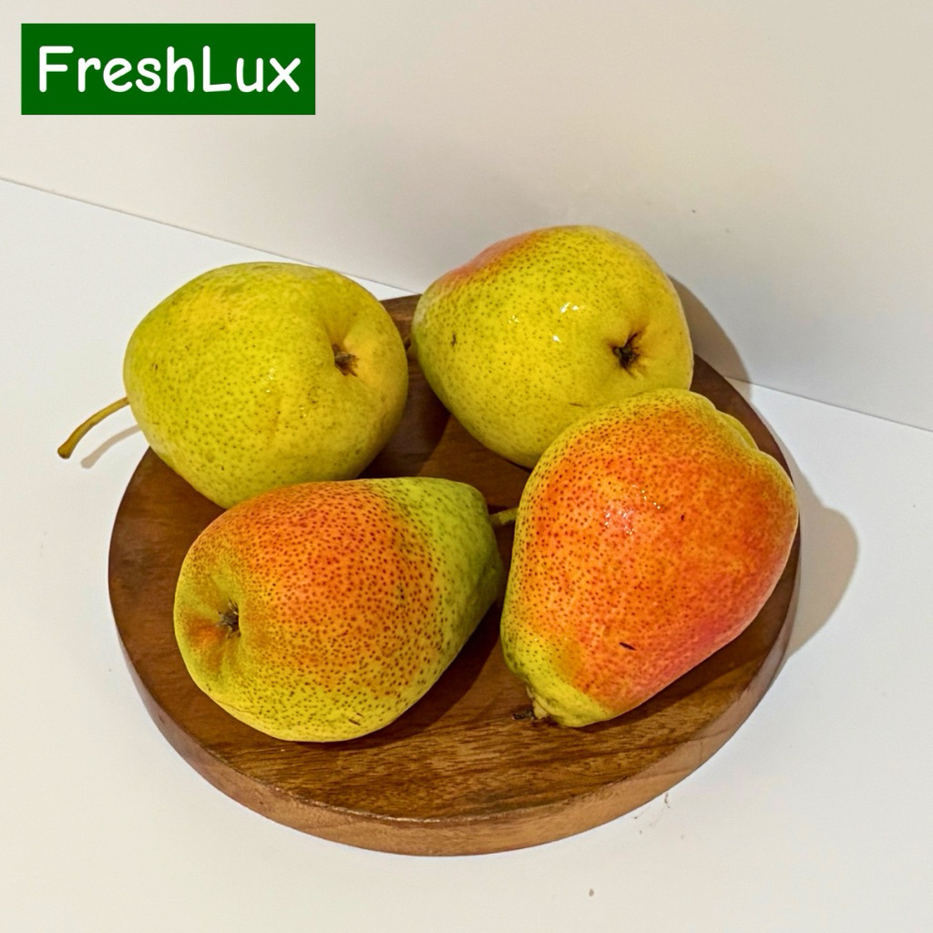 BUAH PEAR FORELLE PREMIUM QUALITY