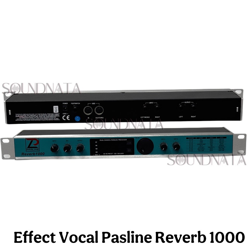 SOUNDnata.audio - Effect Vocal Pasline Reverb 1000