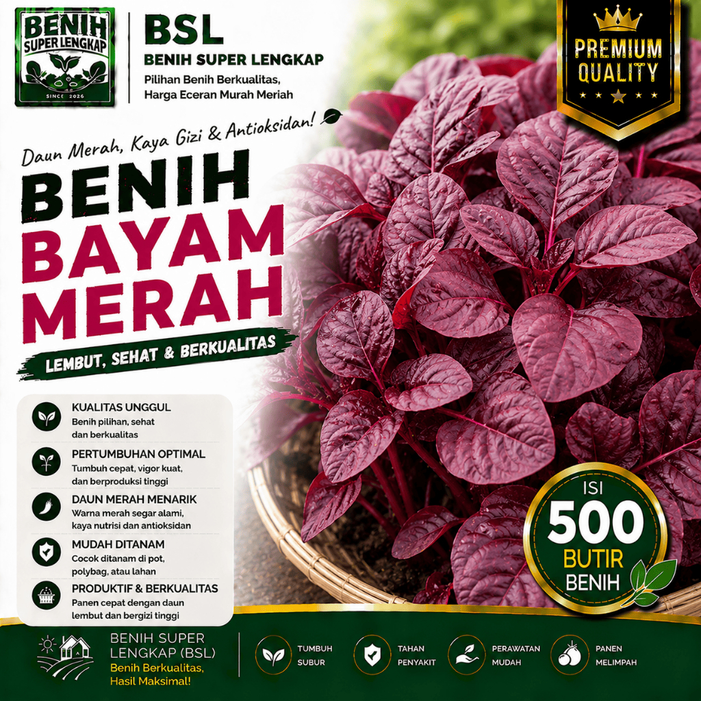 ( 500 Butir ) Benih Biji Bayam Merah | Bayam Cina | Red Amaranth | UKI BIBIT