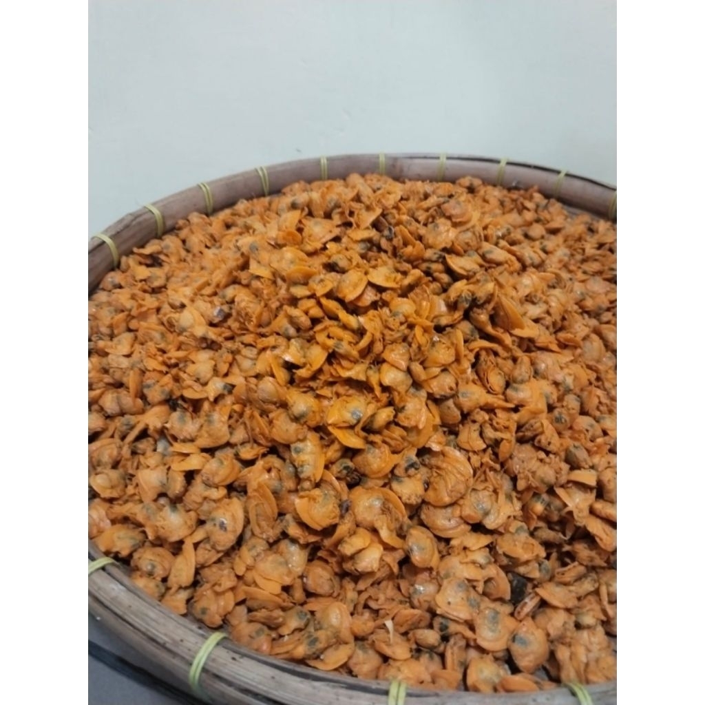 Kerang Kepah Kering Asin Premium Ukuran Sedang 1 Kg