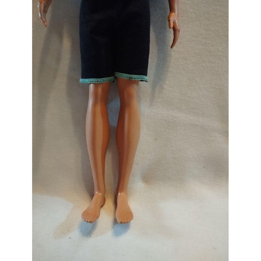 barbie ken carees boneka barbie mattel