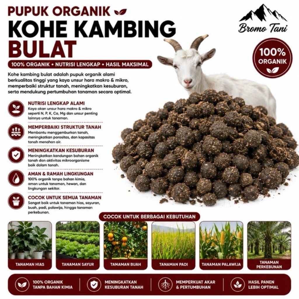 Kohe kambing bulat murni 1kg