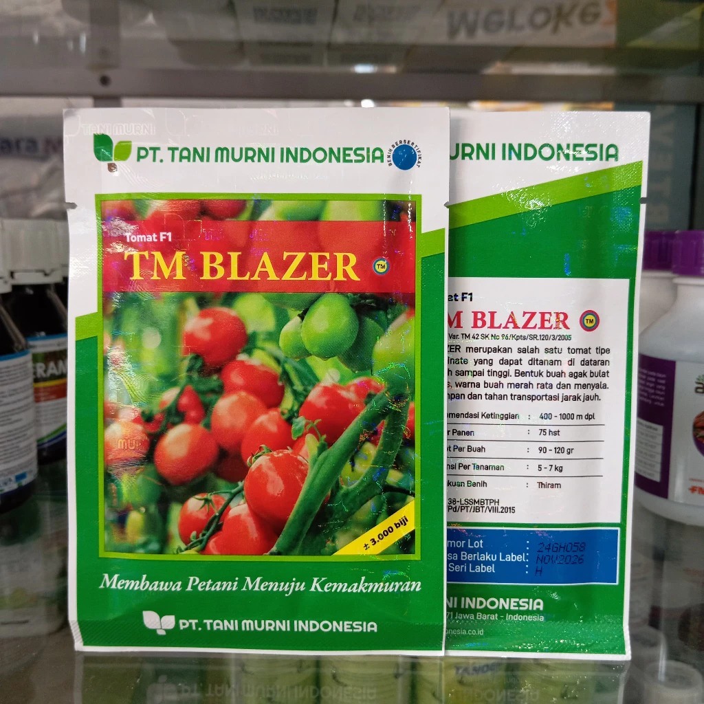 Benih Tomat Besar TM Blazer F1 3000 Biji