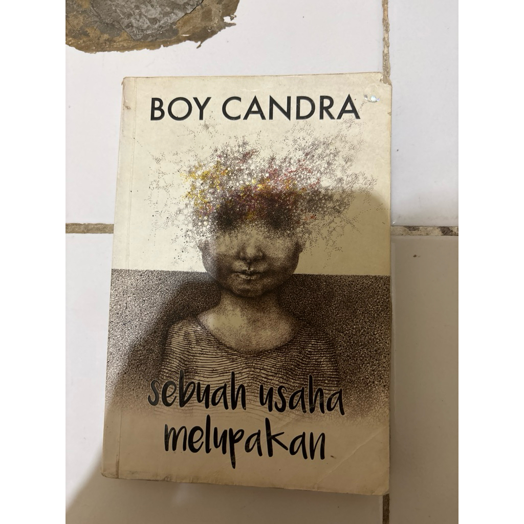 Novel karya boy candra