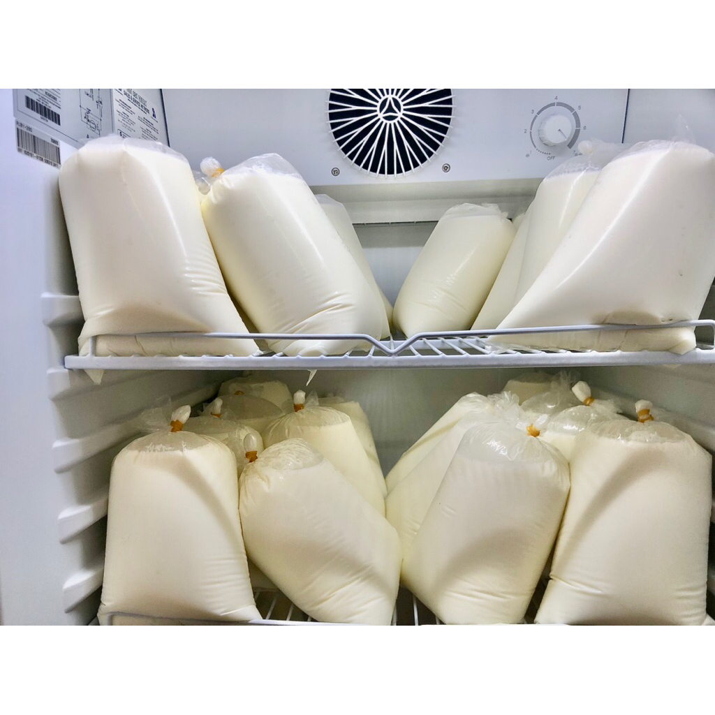 Susu Sapi Murni/Susu murni/Susu Pasteurisasi/Susu Sapi Matang