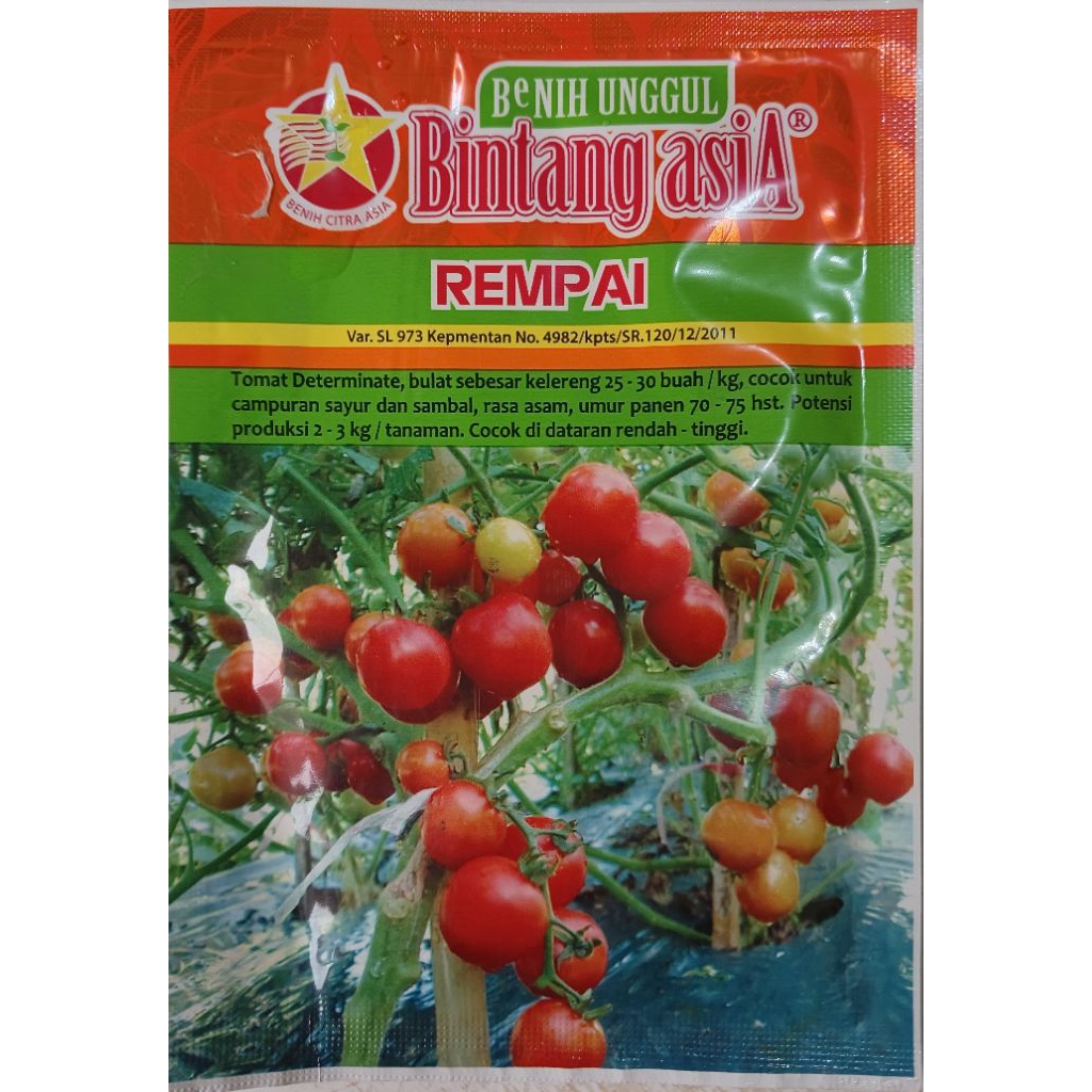 Benih Tomat Rampai 10 Gram - Cap Bunga Matahari, Tipe Semi Indeterminate, Berat Buah 30-50 Gram