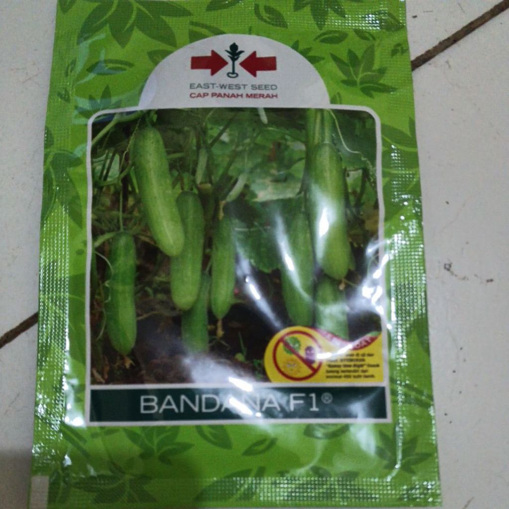 800 Biji Benih Timun Lalap Cap Panah Merah