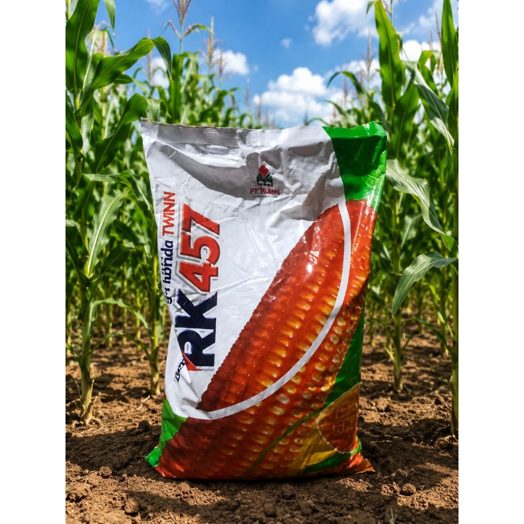 Benih JAGUNG HIBRIDA RK 457 5kg