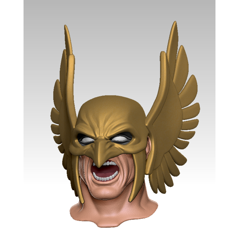 Headsculpt Head HS Hawkman Kitbash Action Figure shf figma Marvel Legends Damtoys Mcfarlane Vtoys No