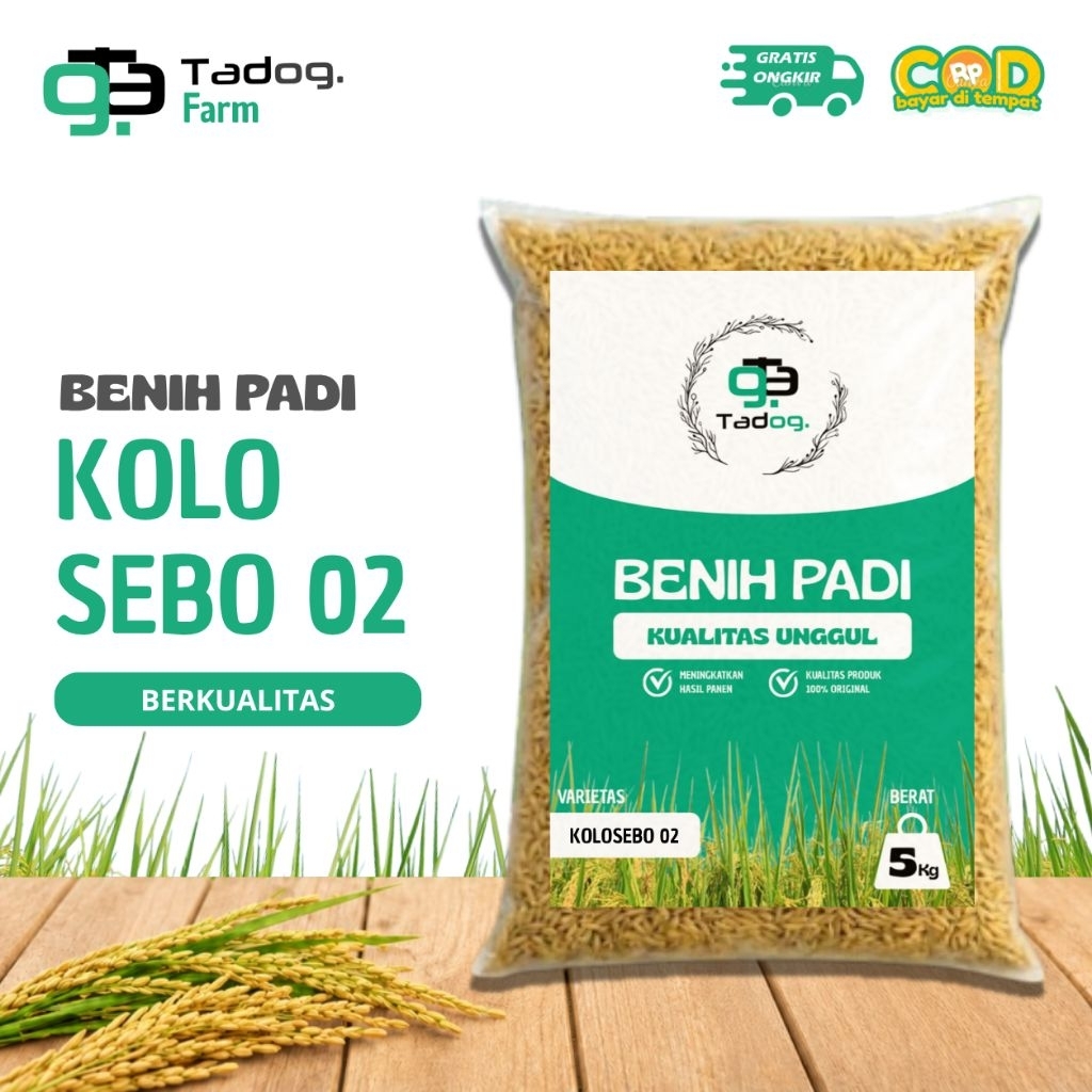 Benih Padi Kolosebo 02 Original 5kg Berkualitas