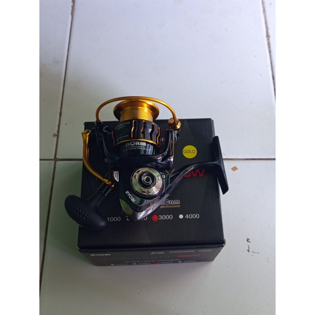 RYOBI MATURITY SW HP 3000