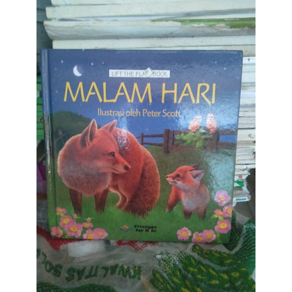 buku Bacaan Anak-anak Malam Hari Ilustrasi oleh Peter Scott