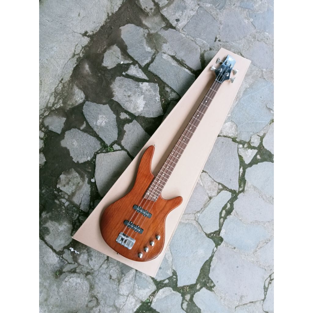 BASS SDGR