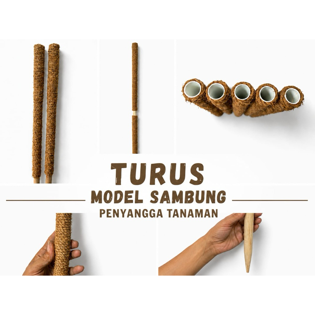 Turus penyangga tanaman||turus rambatan