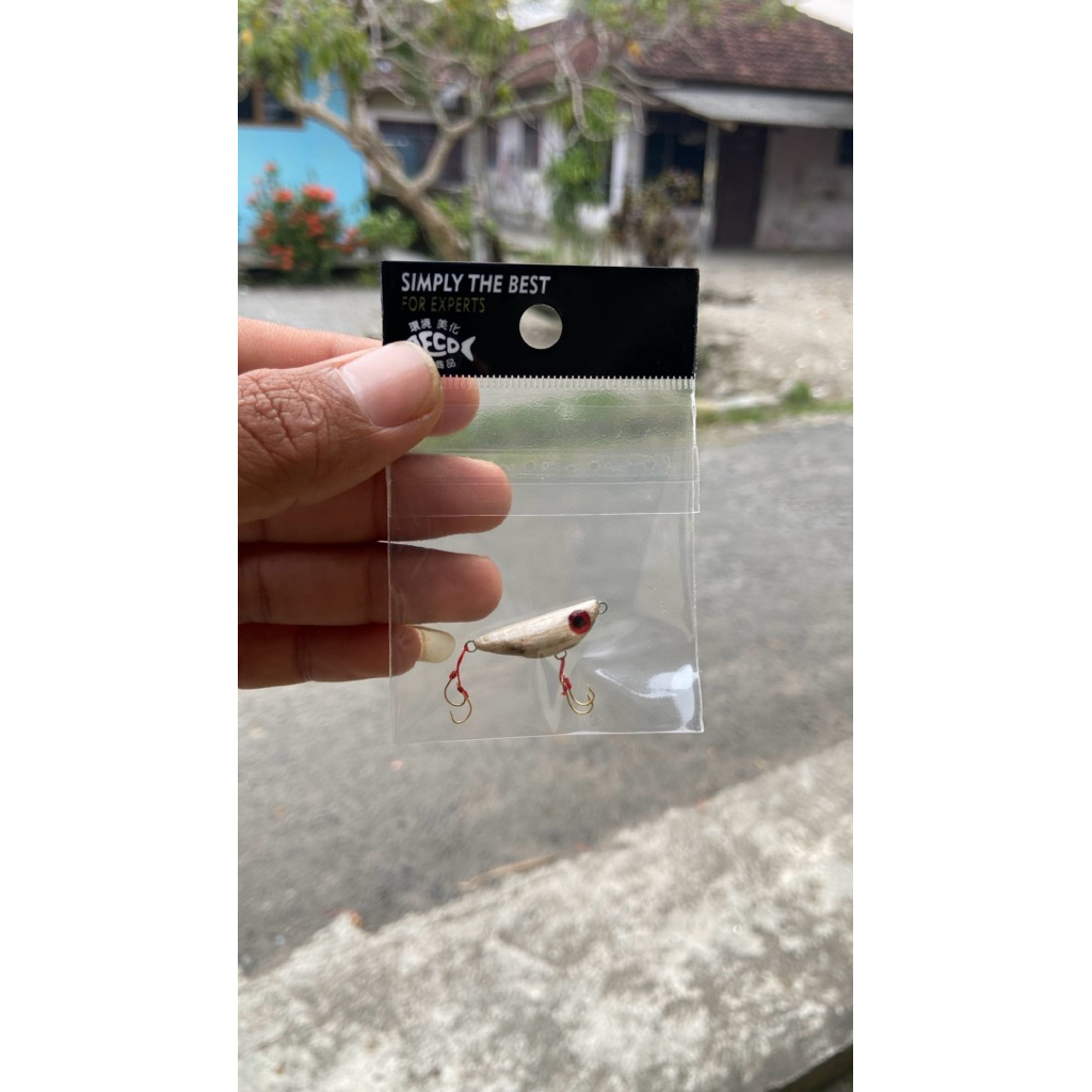 wtd mini hampili