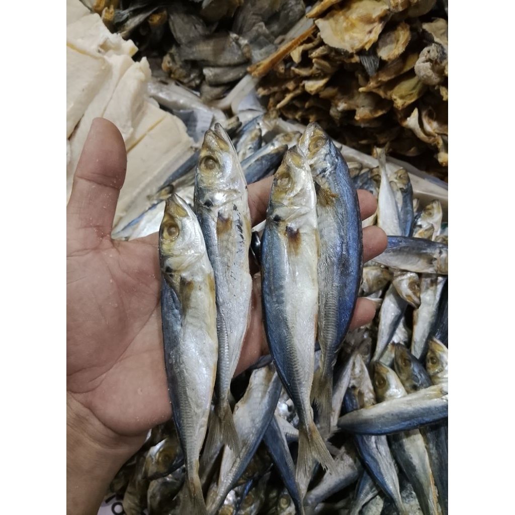 ikan asin japuh layang /layang asin
