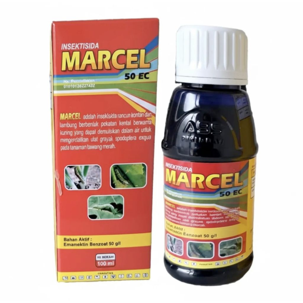 Marcel Insektisida spesialis ulat sundep beluk