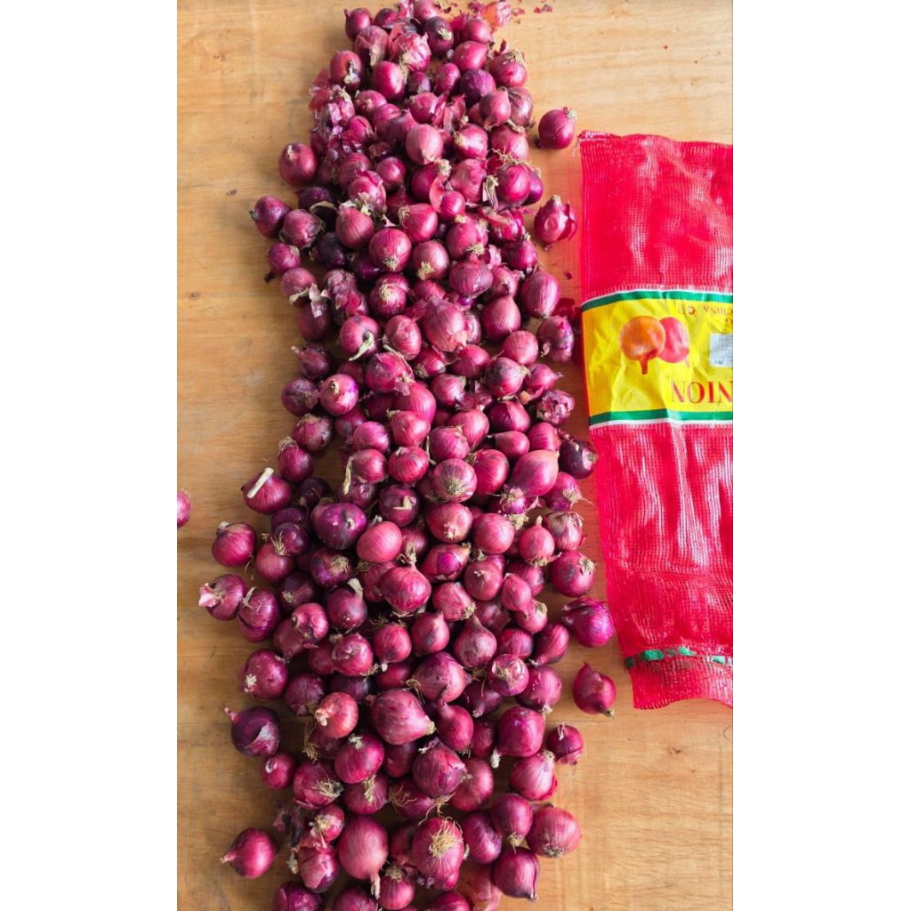 Bawang merah jumbo / bawang merah india / bawang merah import