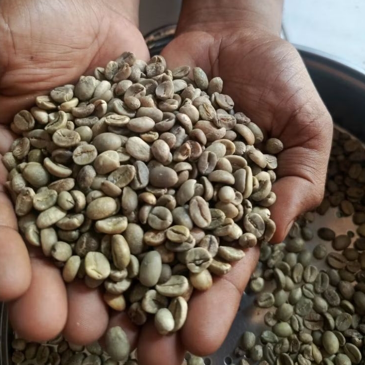 Green Bean Arabika Natural Asalan 1kg