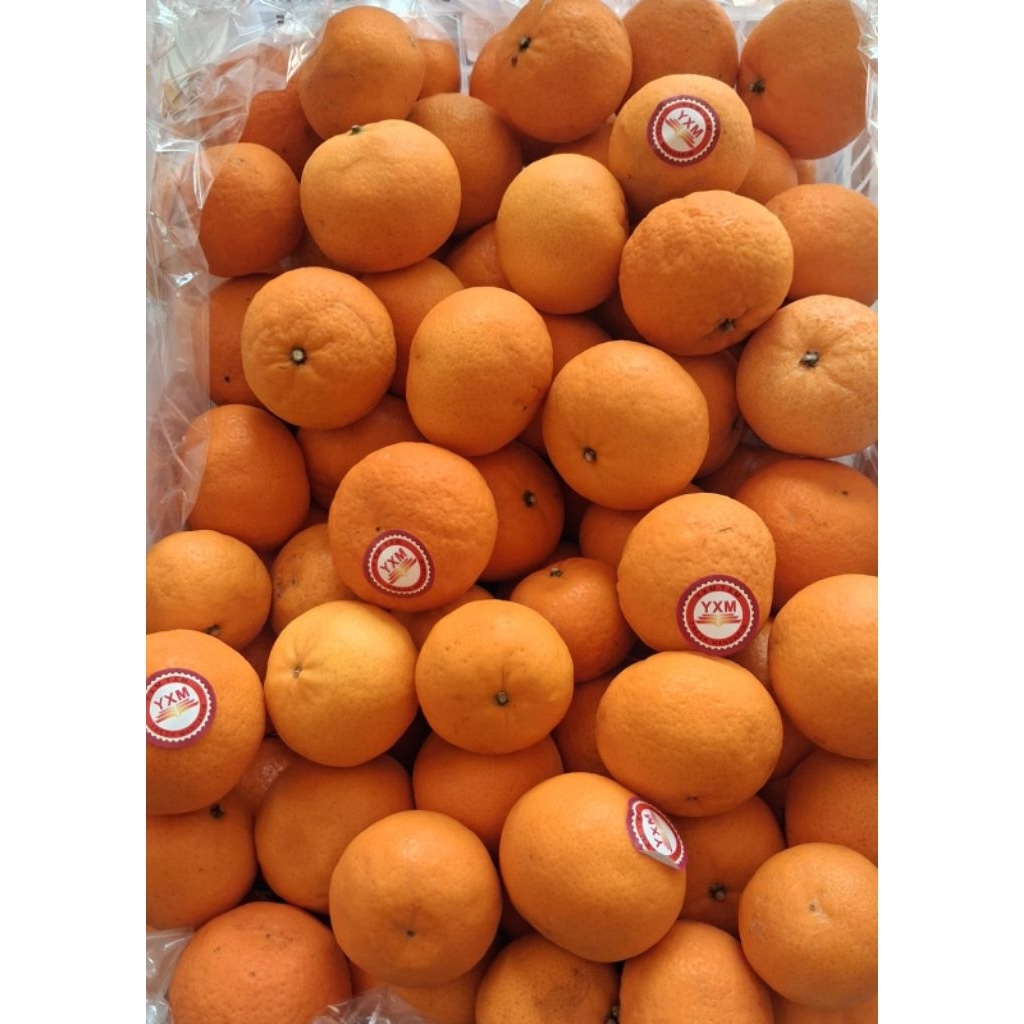 Indukbuah Buah Jeruk Mandarin Afourer 1 Keranjang