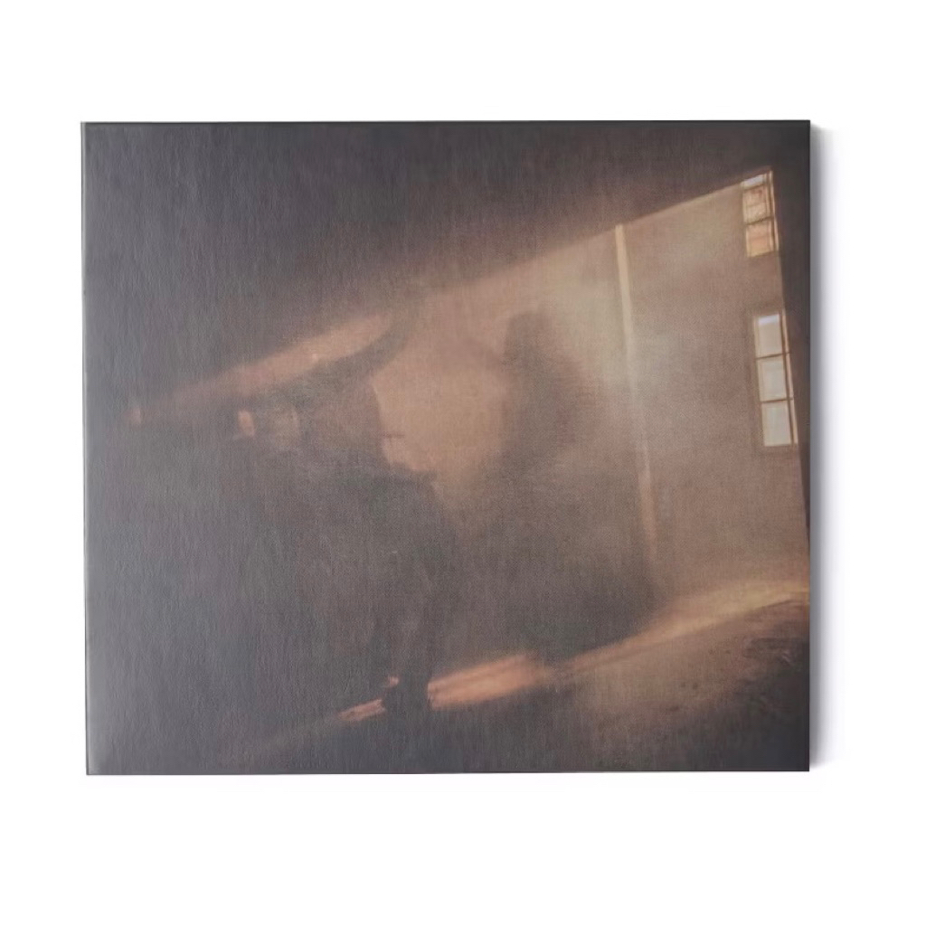 HINDIA - CD- MENARI DENGAN BAYANGAN // DOVES, ‘25 on Blank Canvas