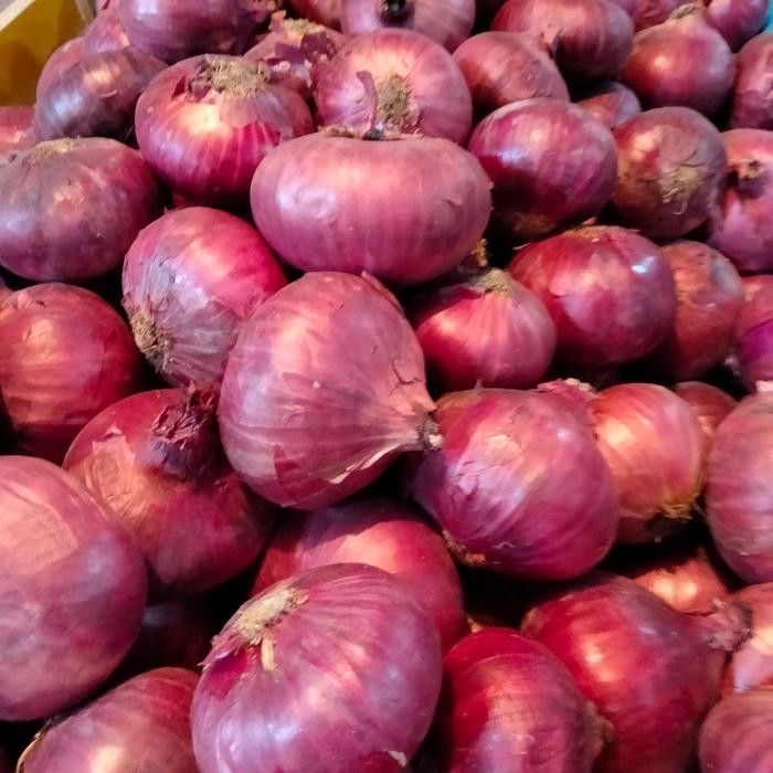 Bawang merah india 1kg bawang india 1kg