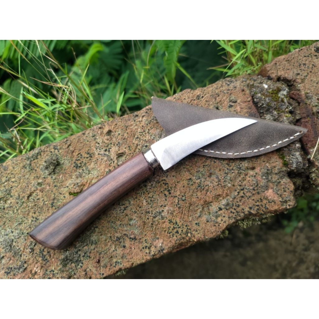 stek dan okulasi tanaman baja hss bohler D2