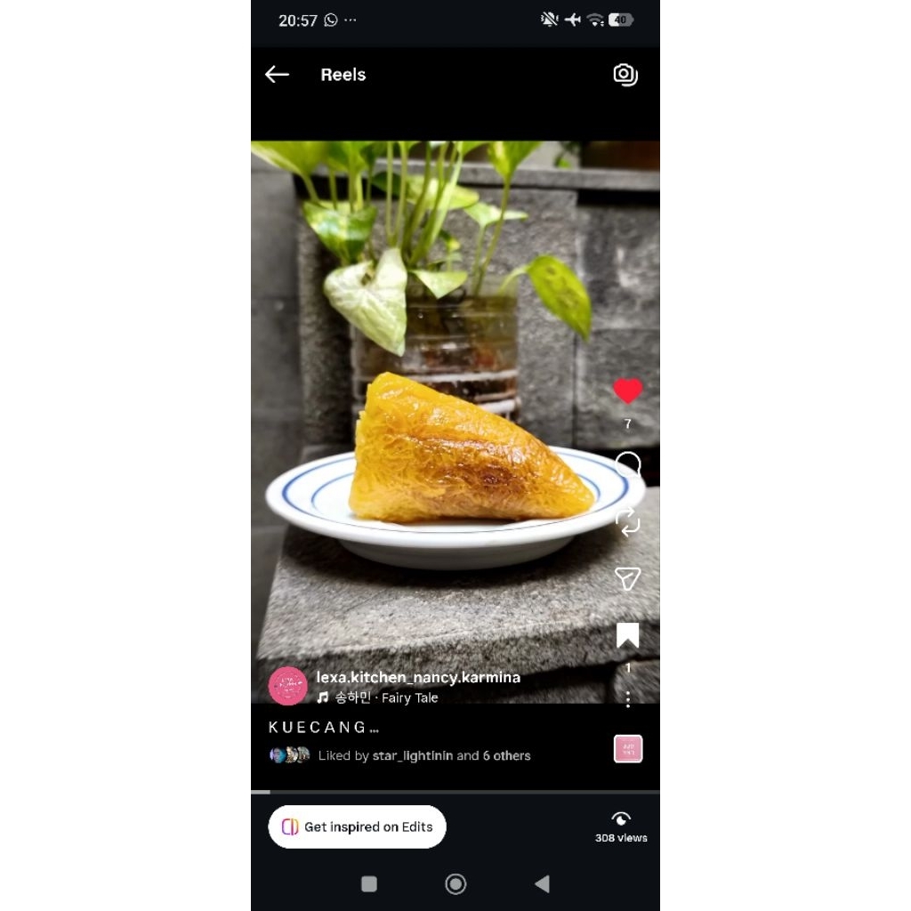 KICANG ISI TAUSA KACANG MERAH