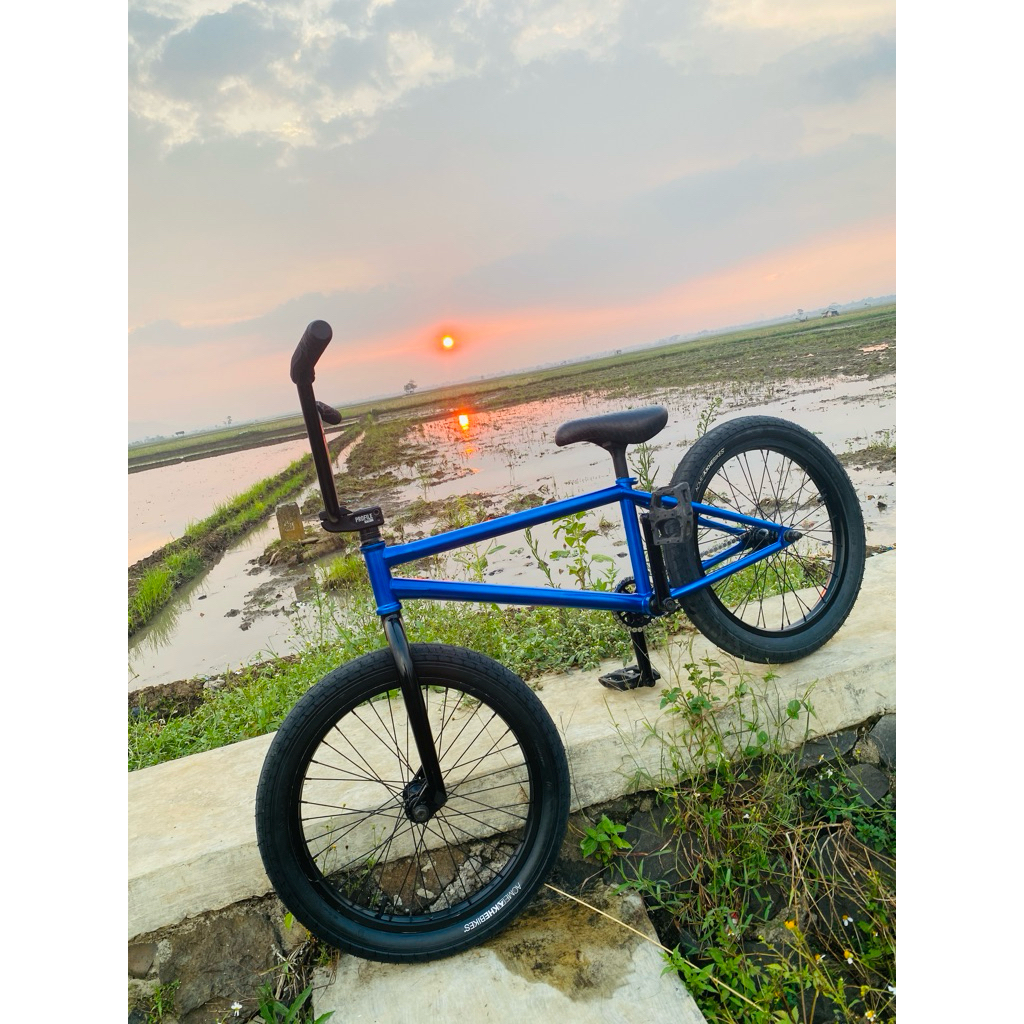 frame bmx cult dan voley & seat pivotal cult all over