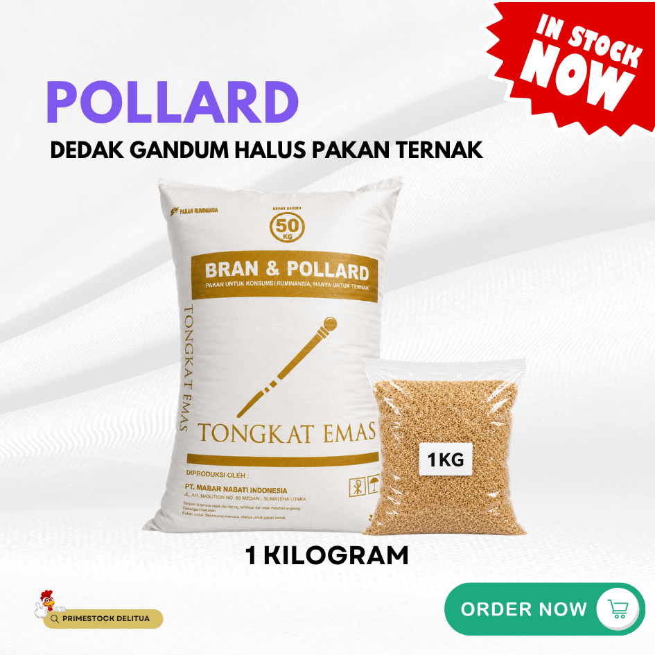 Pollard Tongkat Emas 1kg - Dedak Gandum Halus Pakan Ternak Sapi, Kambing, Itik, Ayam