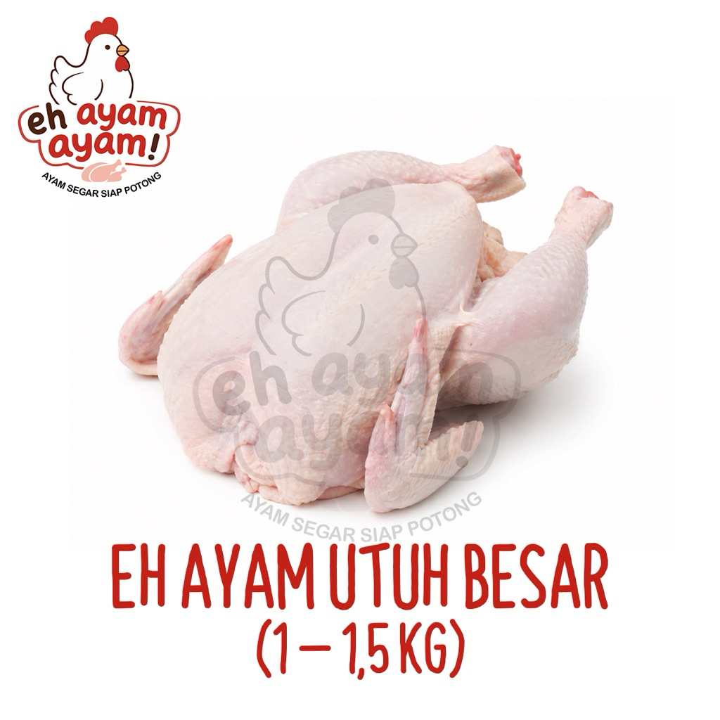 Ayam Utuh Besar (1 - 1,5 KG)