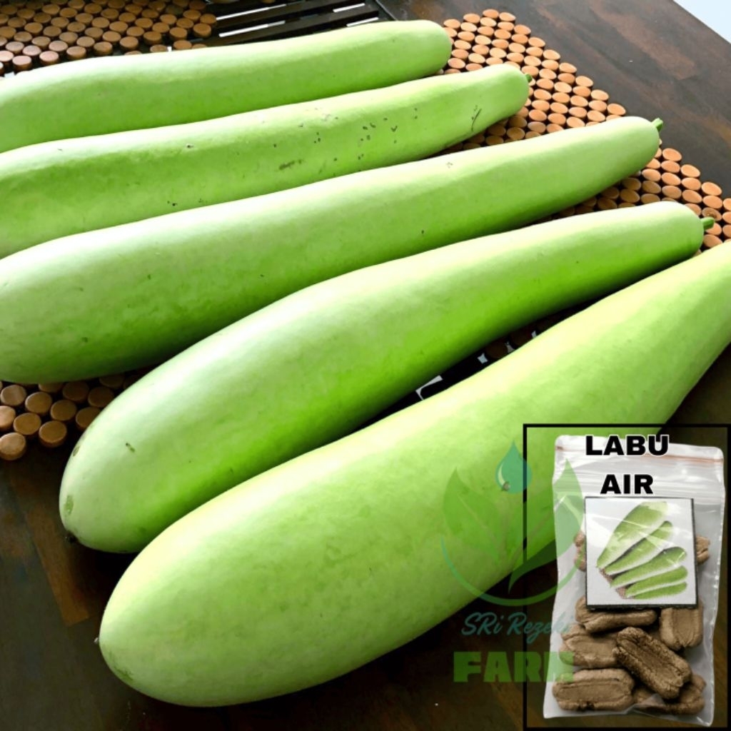 Biji labu air panjang