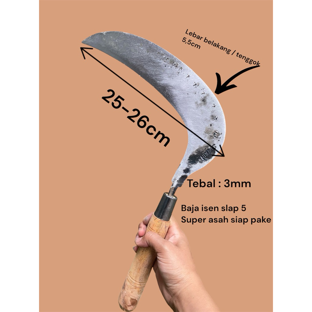arit sadap kelapa baja isen slap super asah