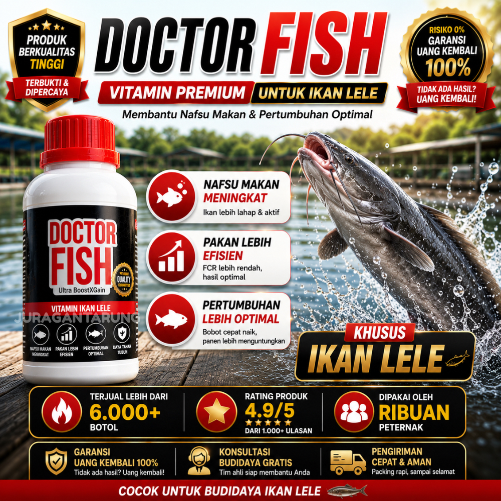 Probiotik Ikan Lele,Probiotik Ikan,Probiotik Ikan Lele Terbaik,Probiotik Ikan Lele Alami,Probiotik I