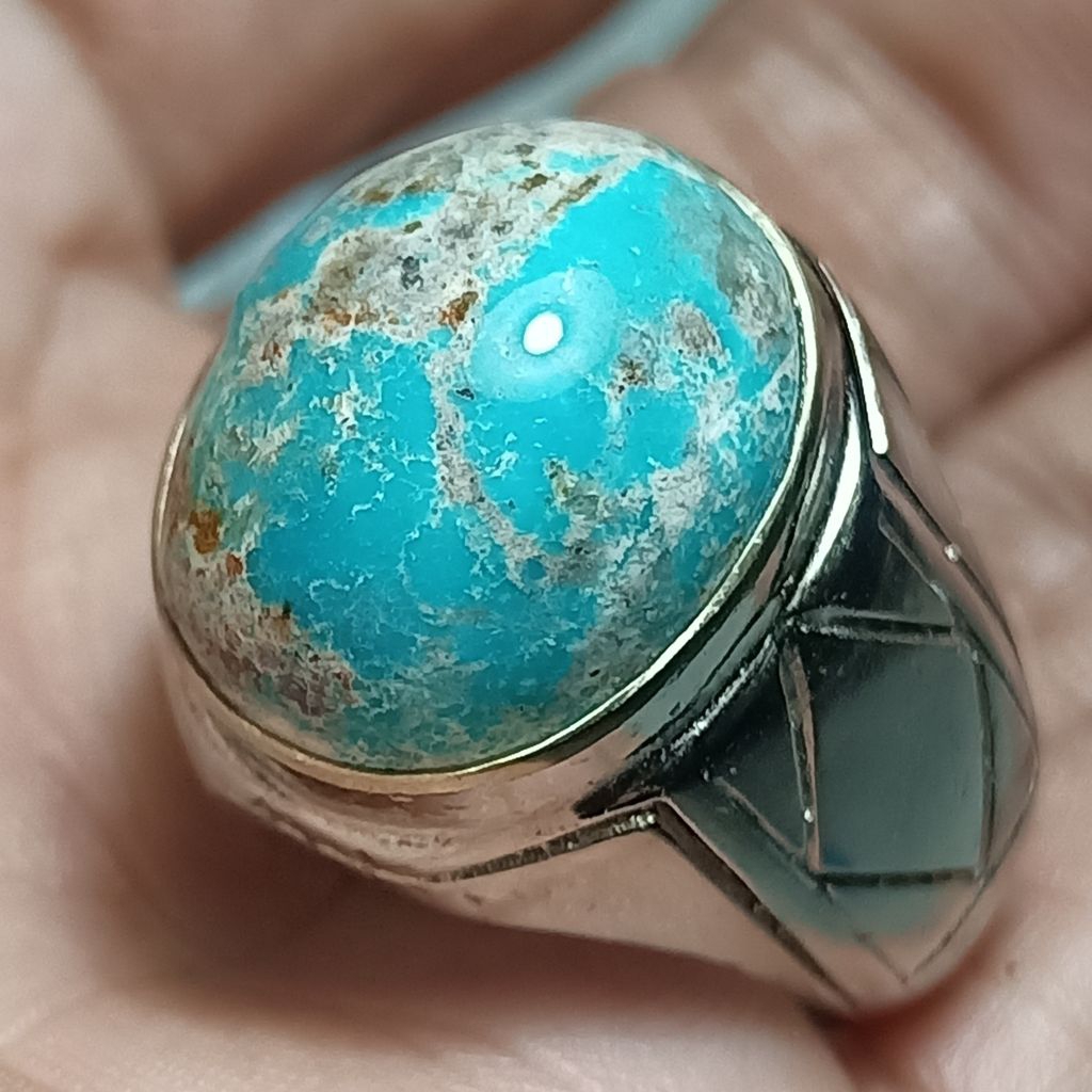 Pirus persia biru tosca mumbul