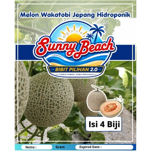 Bibit Pilihan Tumbuh Terbaik Panen Memuaskan| Bibit Melon Wakatobi Jepang Hidroponik |Melon Wakatobi