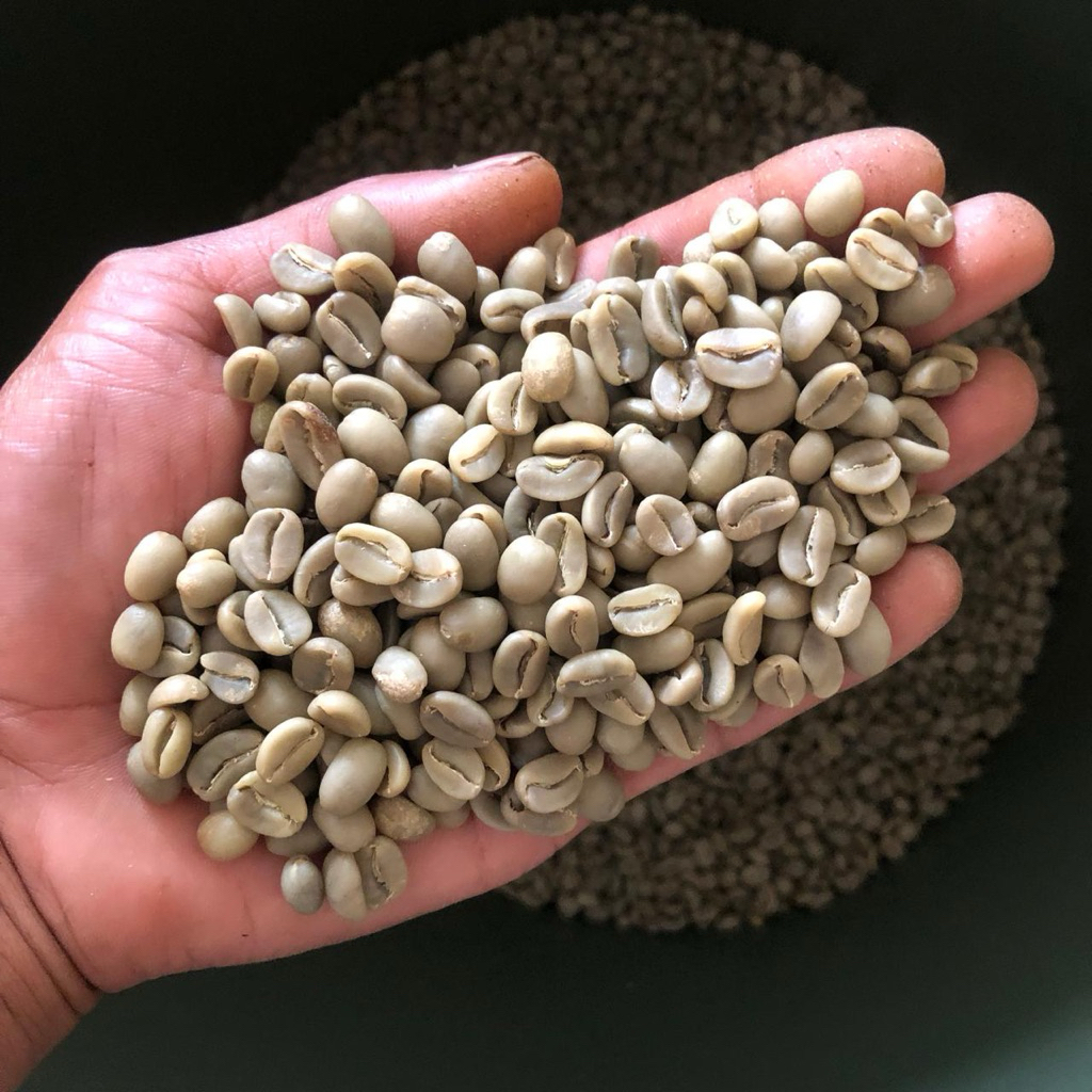 Green Bean Arabica Gayo