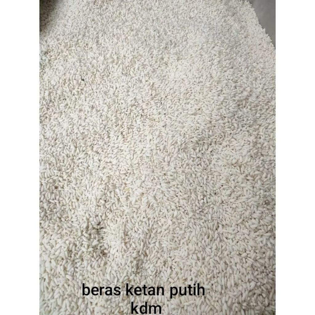 BERAS KETAN PUTIH KEMASAN 5KG BERAS KETAN PUTIH LOKAL HASIL OLAHAN SENDIRI
