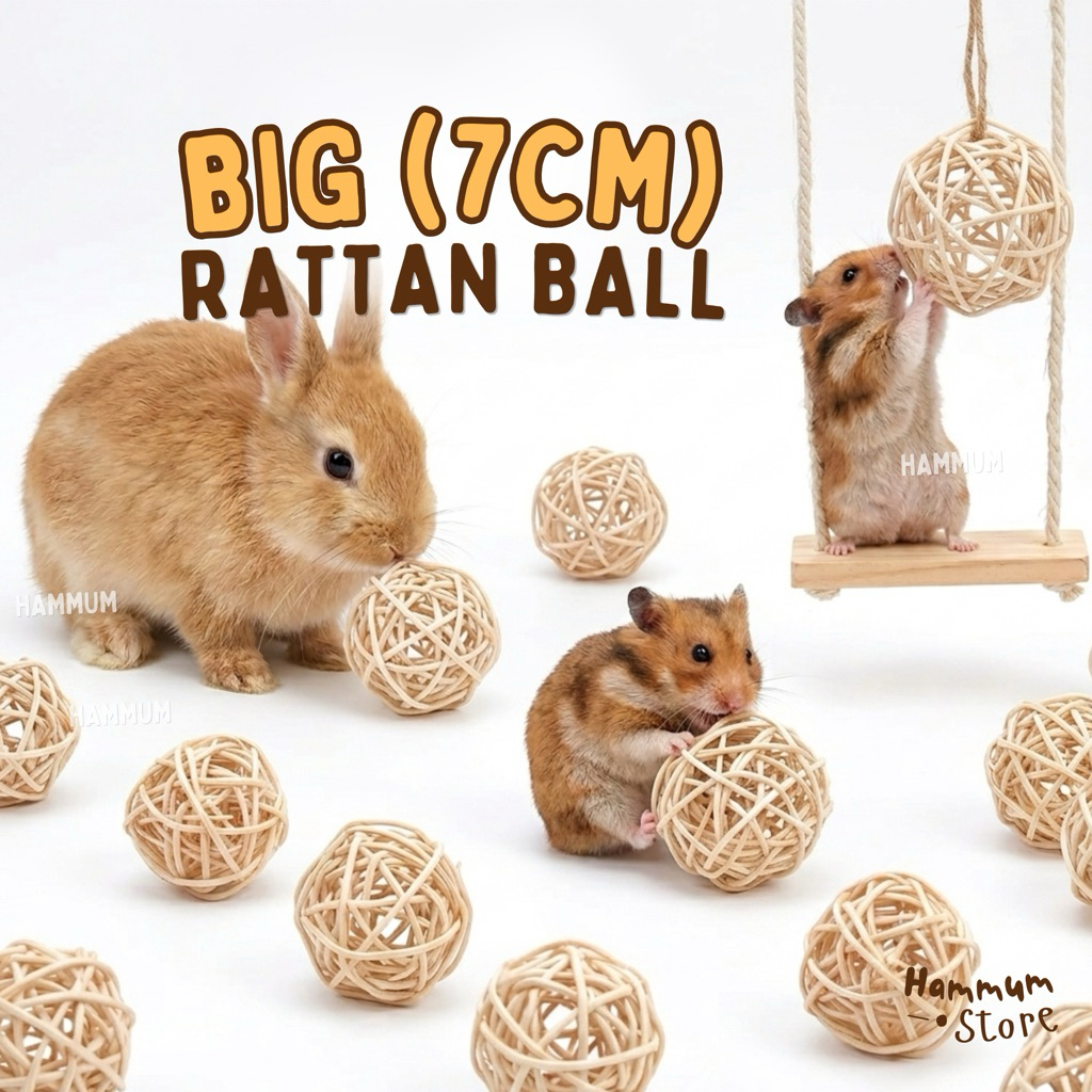 Bola Rotan Besar 7 cm | Mainan Gigitan Kelinci Hamster Marmut | Mainan Guinea Pig