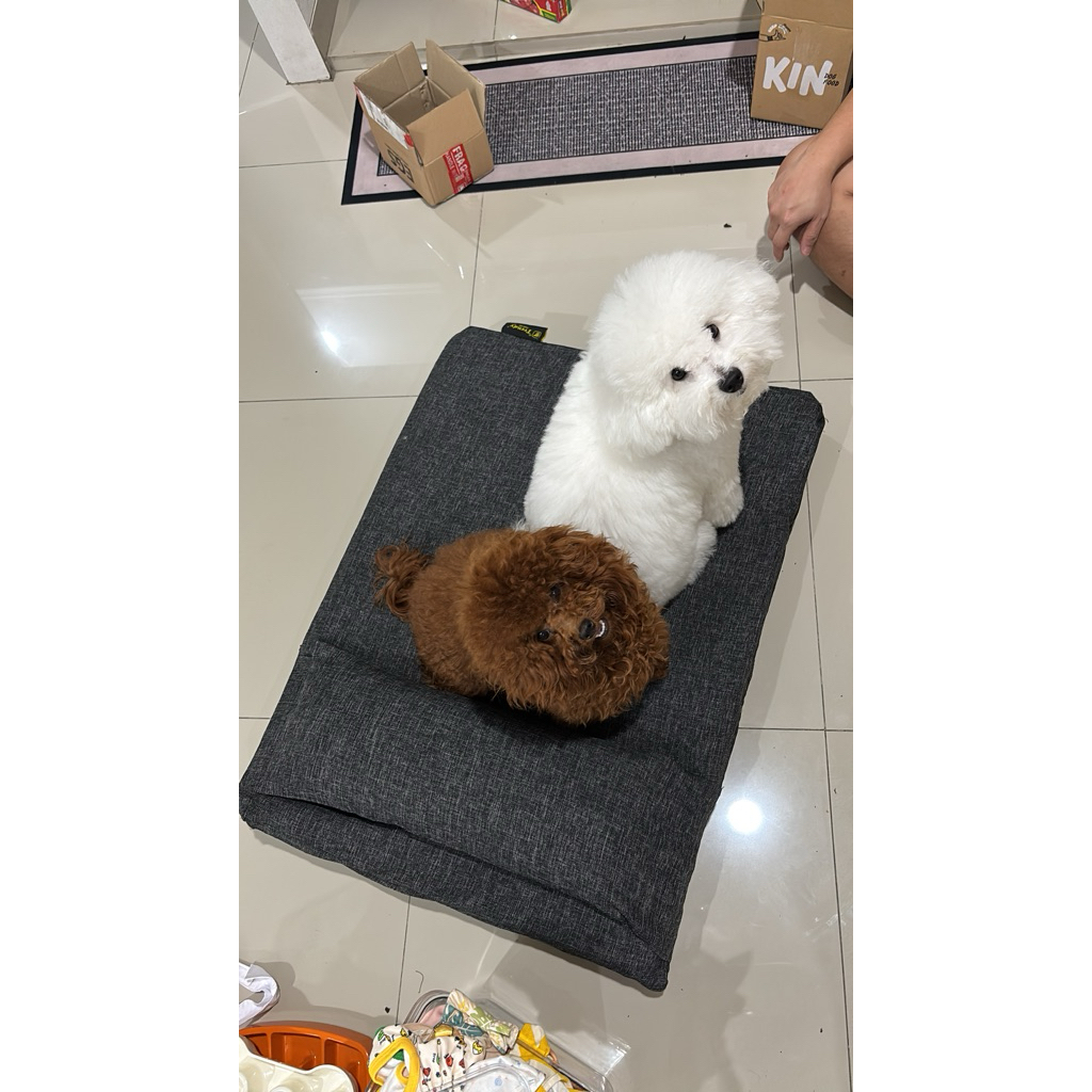 kasur anjing trendy