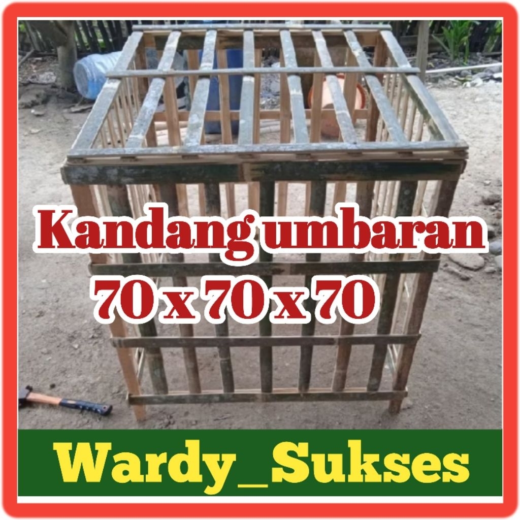 KANDANG AYAM UMBARAN / KANDANG AYAM RAKITAN/ KANDANG AYAM BAMBU