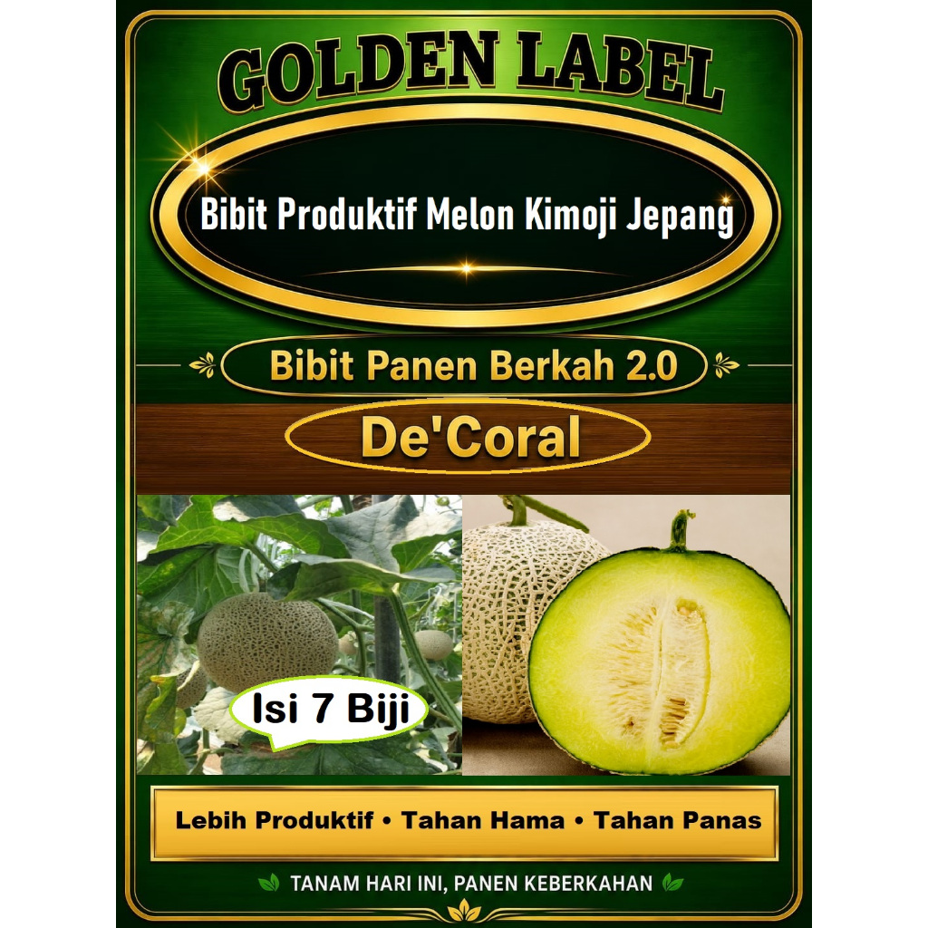 Bibit Panen Berkah 2.0 | Bibit Produktif Melon Kimoji Jepang Lebih Tangguh & Lebih Produktif | Biji 
